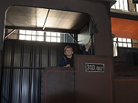 IMG 2192 : David, Lidé